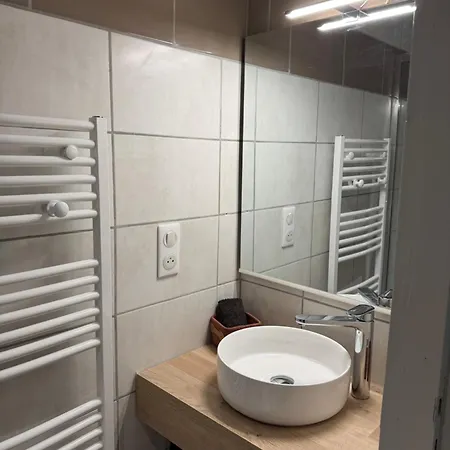 Le Foirail Apartment *